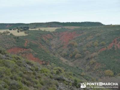 Monasterio de Bonaval - Cañón del Jarama - Senderismo Guadalajara; senderos ecologicos